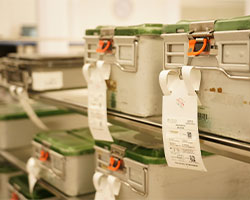 SPD processing containers