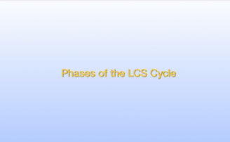 LCS Process Steps