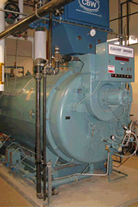 Plant Steam System at a Healthcare Facility