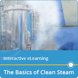The Basics of Clean Steam