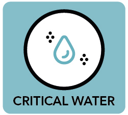 Critical Water