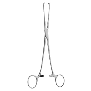 Allis Tissue Forceps