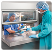 Link to AMSCO™ Automated Pass Through Window
