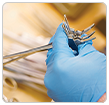 Link to Surgical Instrument Repair Services