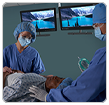Link to Vividimage D Surgical Display