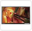 VividImage W 4K Wall Displays