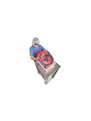 Reliance Endoscope Transport System
