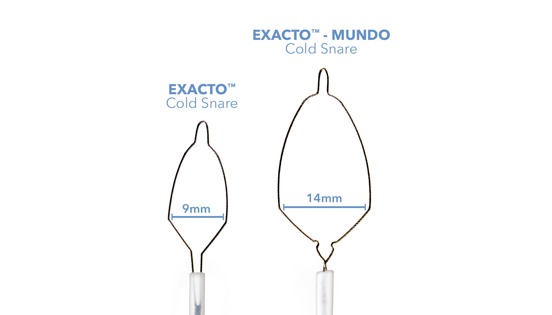 Exacto Colonoscopy snare