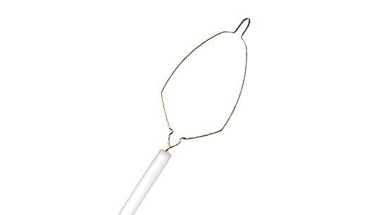 Exacto Mundo endoscopic snare