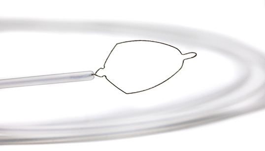 Exacto Mundo polypectomy snare
