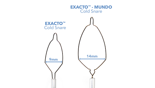 Exacto Colonoscopy snare