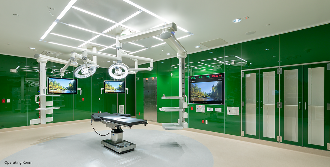 Modular Wall System