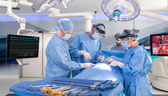 HexaVue Focus Integration System