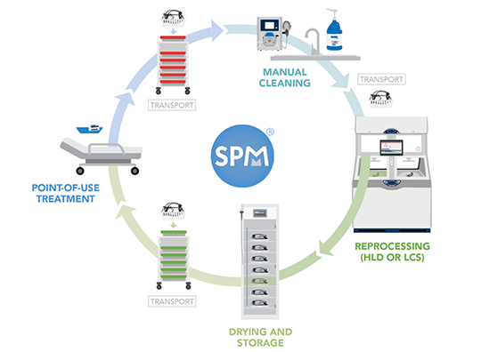 SPM Endo Workflow Process
