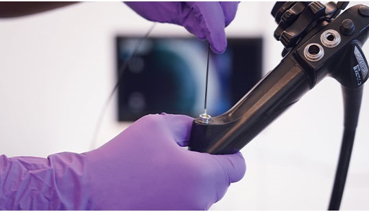 Borescope inspection