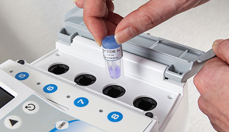 Celerity 20 STEAM Biological Indicator