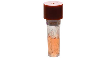 Clear red media means no biological indicator growth, a passing test.