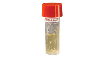 Bright yellow color change makes identifying positive biological indicator growth easier.