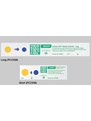VERIFY SixCess 270°F / 132°C indicators for Express of Prevaccum 4 and 1 Immediate Use Sterilization cycles - long (PCC008) and short (PCC006)