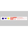 Passing VERIFY SixCess 270°F / 132°C Indicator strip (LCC310) used in a 3 minute immediate use sterilization cycle