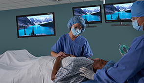 Vividimage® D Surgical Display