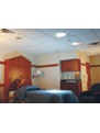 AMSCO LD202 In-Ceiling Lighting System