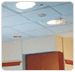 Link to Specialty Lights