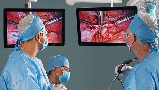 Vividimage 32” 4k surgical monitor display