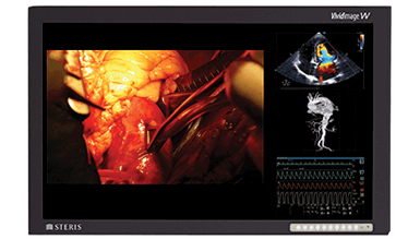 Vivid Image W Surgical Display Monitor
