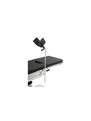 Power Lift Stirrups