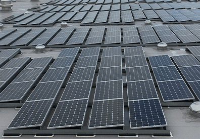 Energy and Conservation