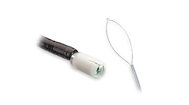 enteroscopy-and-capsule-delivery-devices