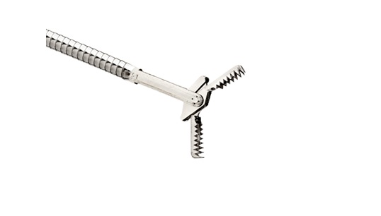 Moray Micro Forceps