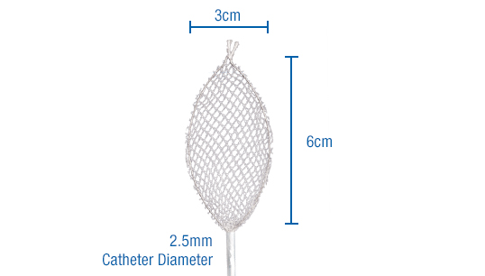 Roth-Net Polyp Dimensions