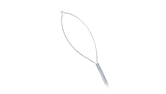 Short Throw polypectomy snare - standard oval