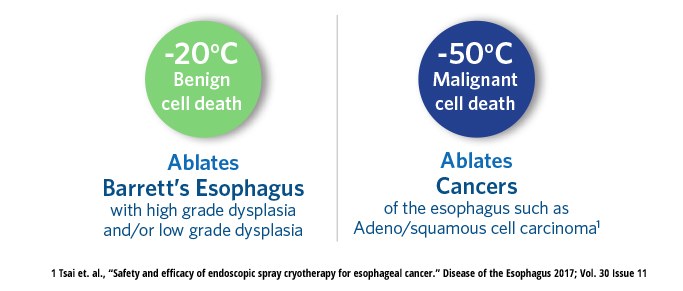 Comparison between Barretts and Cancer cell death temps